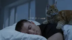 Víte, co váš kocour dělá v noci, když všichni spí?