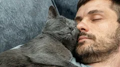 Takto kočka ukazuje svou lásku: když dělá toto, jste pro ni ten nejdražší člověk