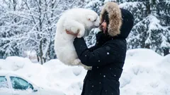 Dokážou zvířata rozumět lidskému jazyku?