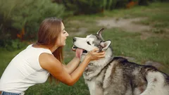 Jak mluvit se psem, aby vám doopravdy rozuměl