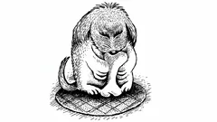 Optická iluze se psem: Najdete na obrázku schovaného páníčka?