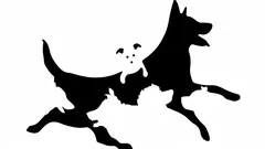 Kolik psů vidíte? Obrázkový test odhalí váš psychologický věk během chvilky